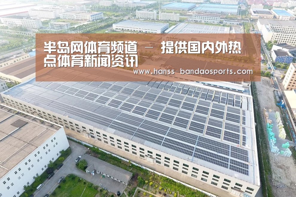 案例展示一