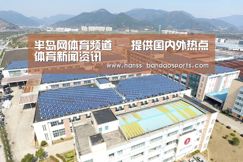 案例展示四