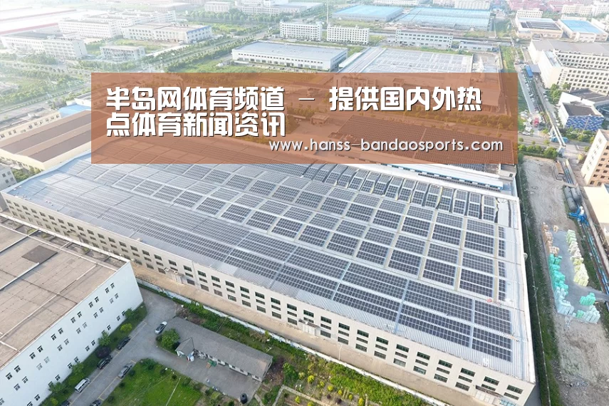 案例展示二