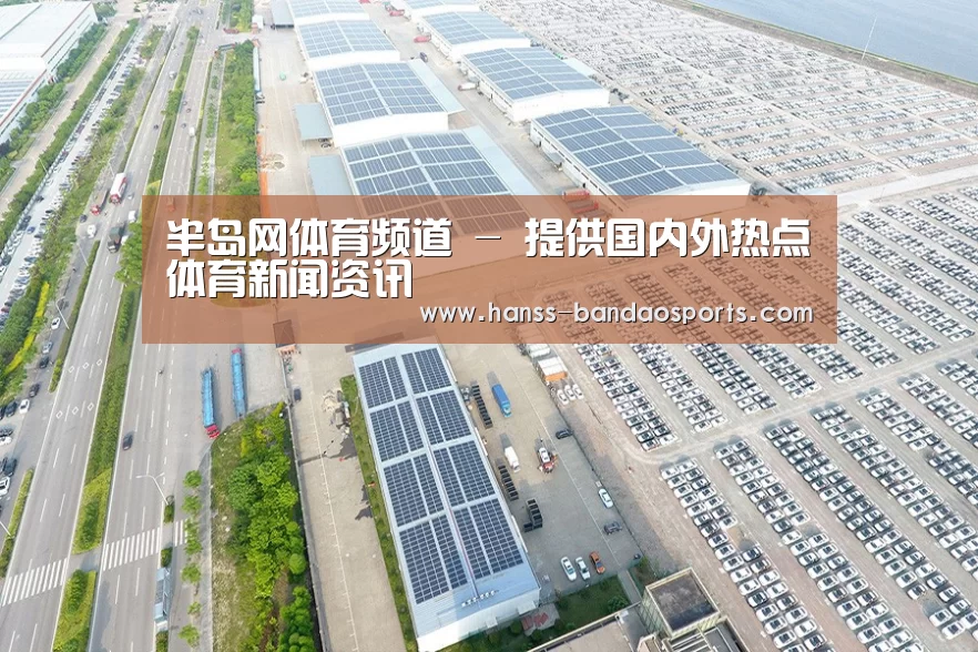 案例展示四