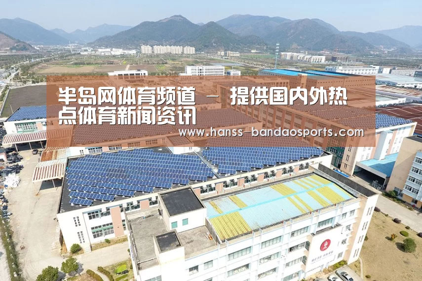 案例展示三