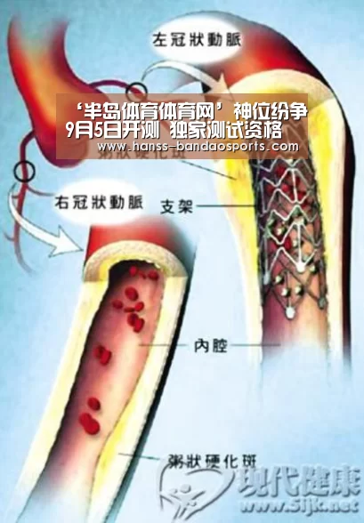 半岛体育体育娱乐